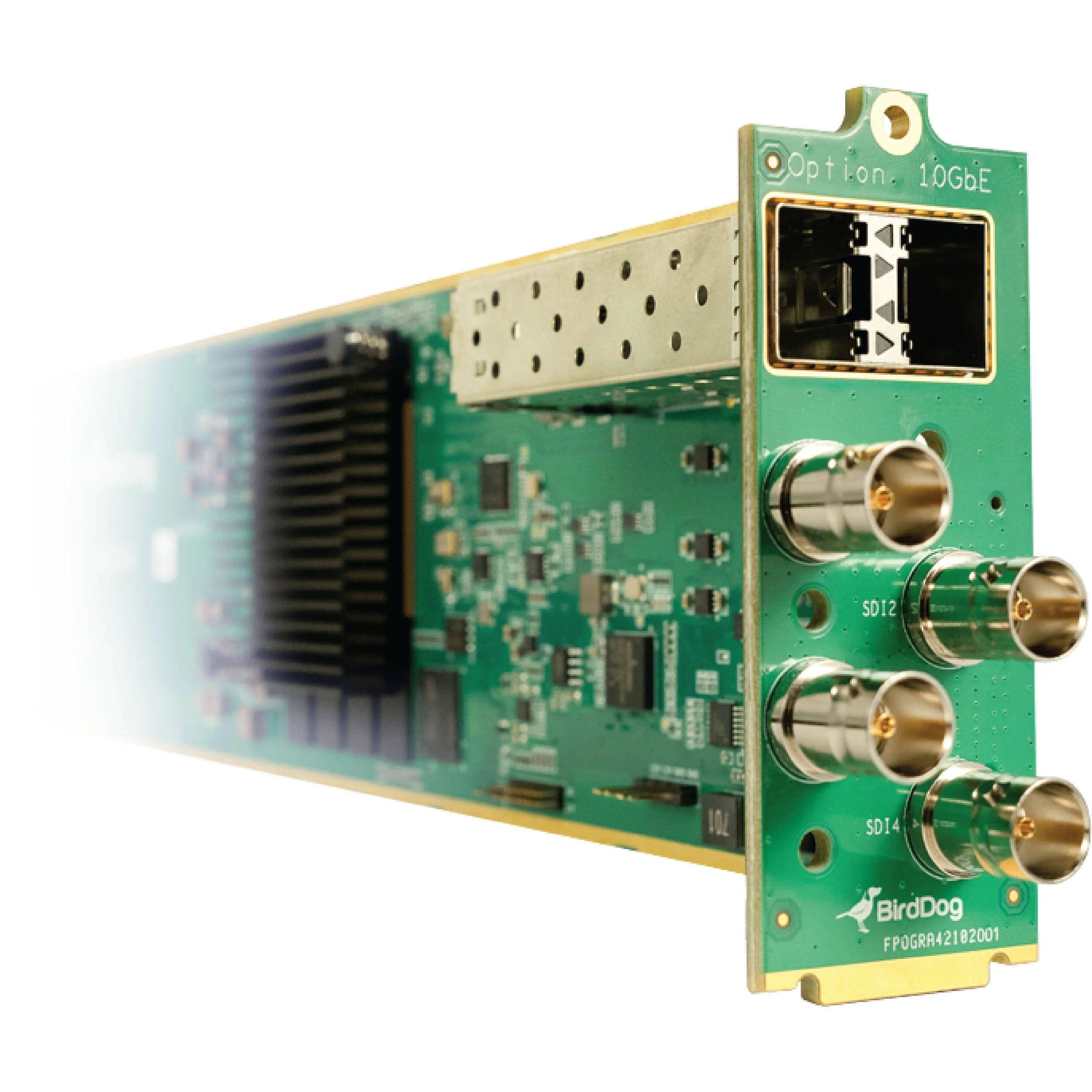BirdDog openGear 4-Channel NDI Encoder/Decoder - Image 2