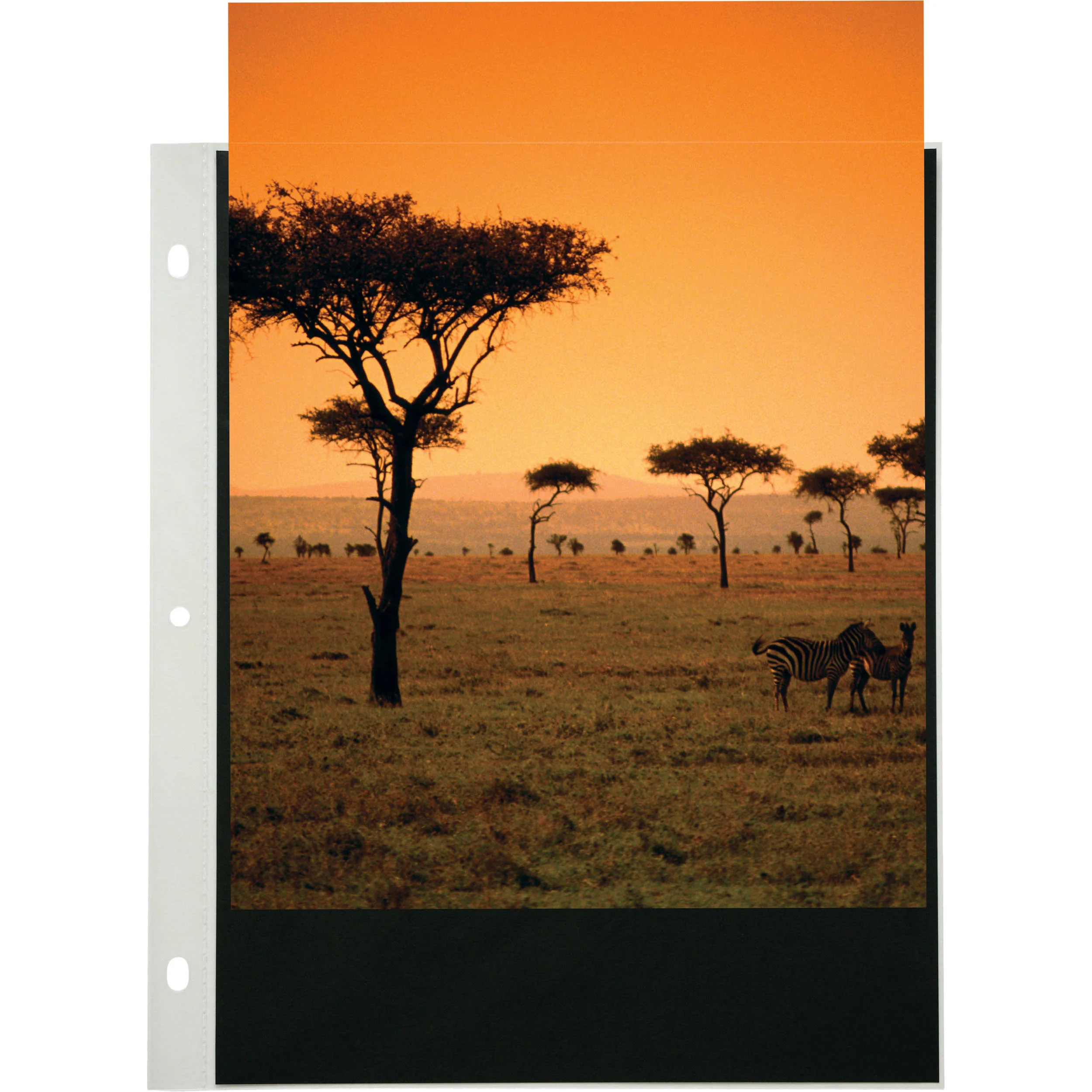 Itoya Art Profolio PolyGlass Pages (8.3 x 11.7", 10-Pack) - Image 3