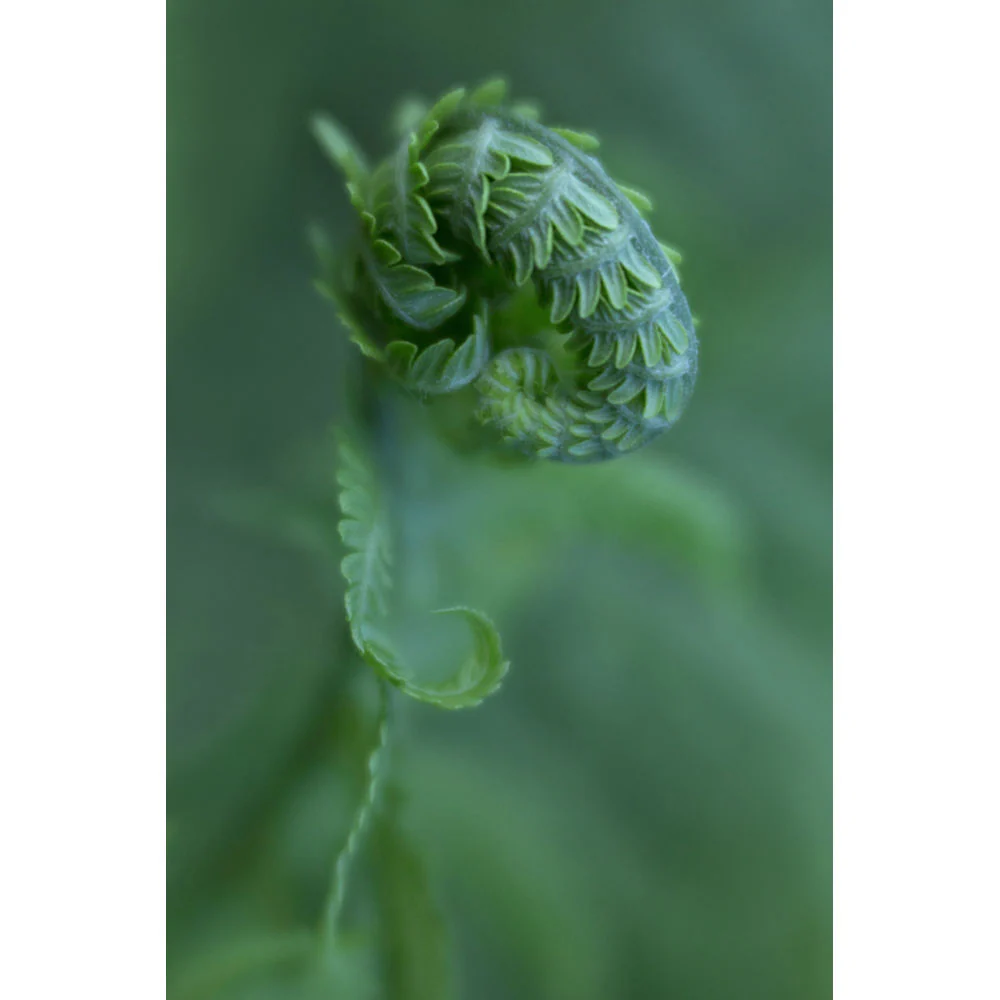 Lensbaby 46mm Macro Filter Kit - Image 5