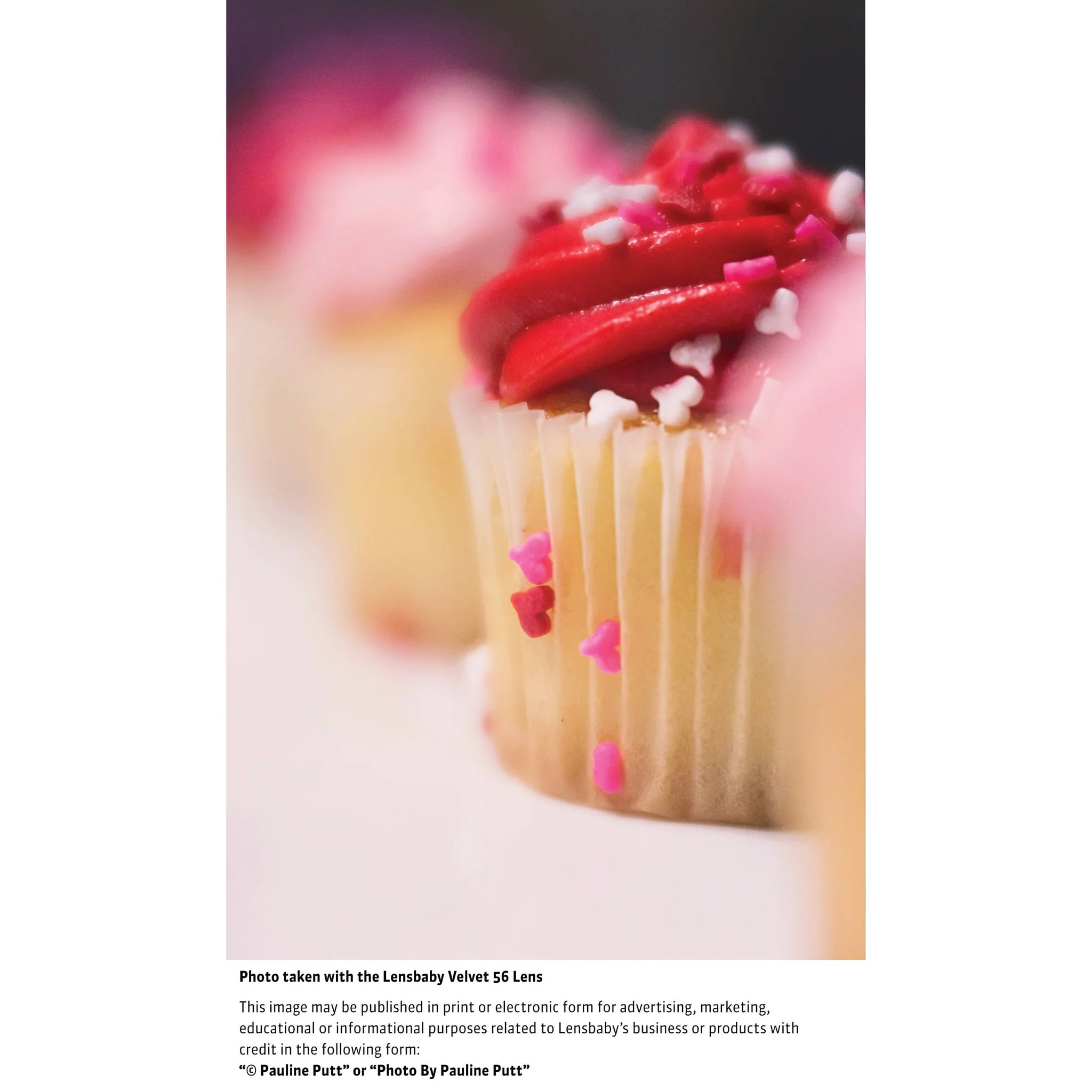 Lensbaby Velvet 56mm f/1.6 Lens for Sony E - Image 4