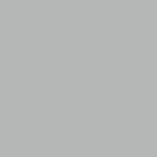 Rosco Fluorescent Lighting Sleeve/Tube Guard (E-Colour #E209 Neutral Density .3, 8' Long)