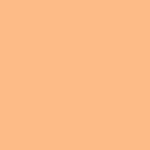 Rosco Fluorescent Lighting Sleeve/Tube Guard (E-Colour #E285 3/4 CT Orange, 8' Long)