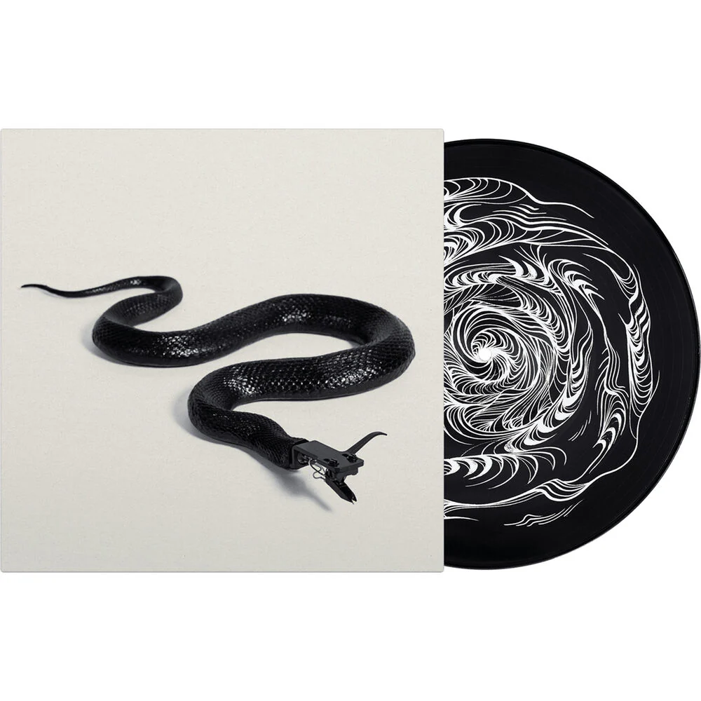 Serato 12" David Ellis Sidewinder Picture Control Vinyl for Serato DJ (Pair)
