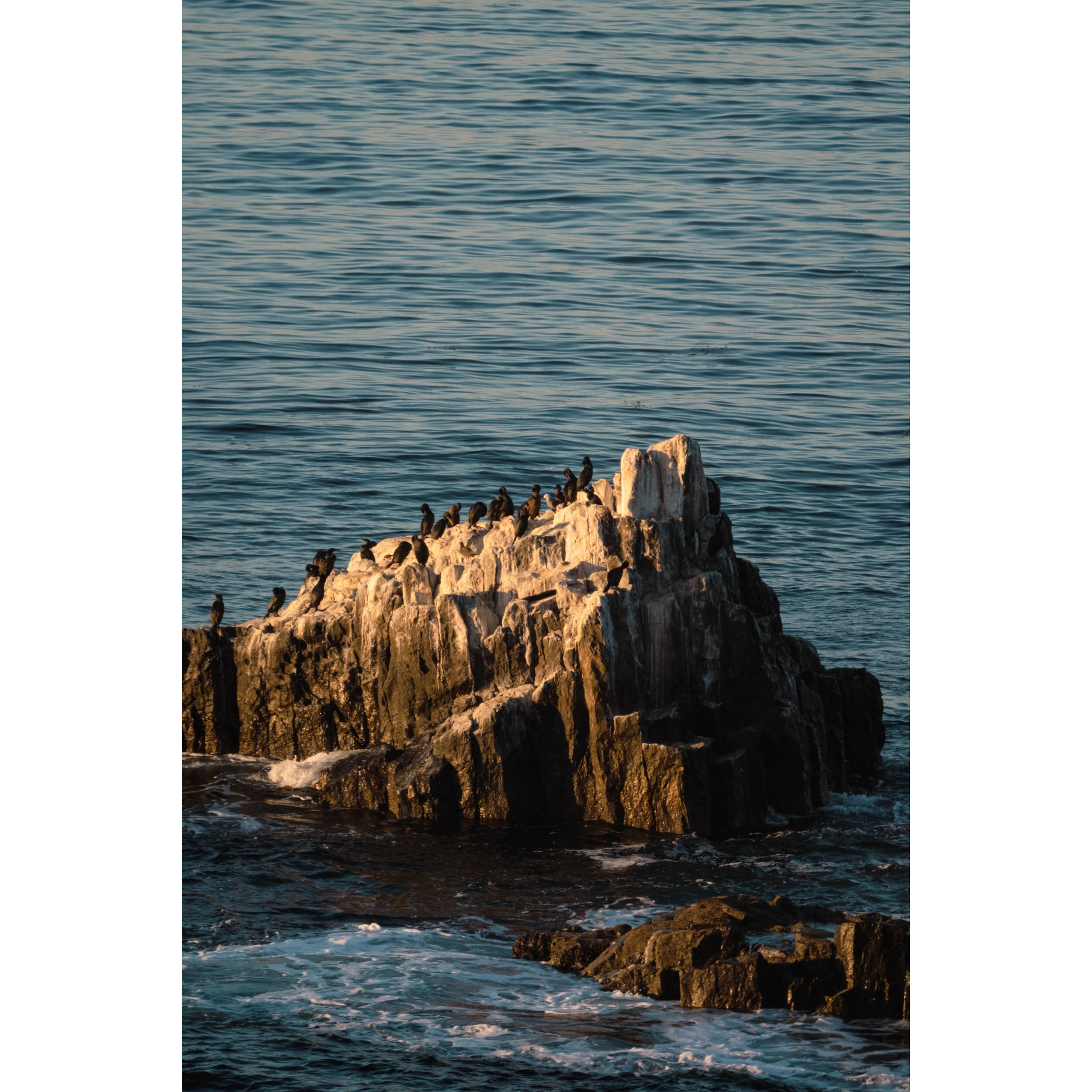 Tokina SZ 300mm f/7.1 Pro Reflex MF CF Lens (FUJIFILM X) - Image 4